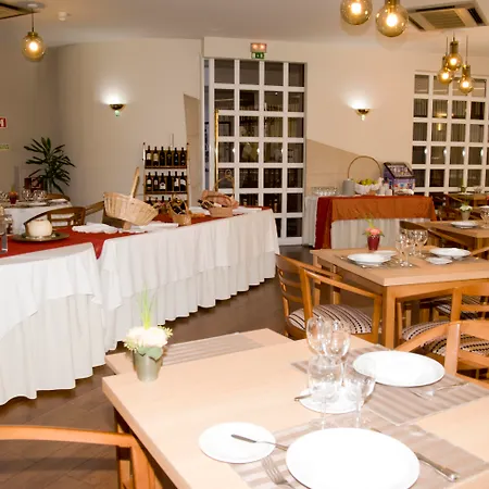 Hotel Rainha D. Amelia, Arts & Leisure-2