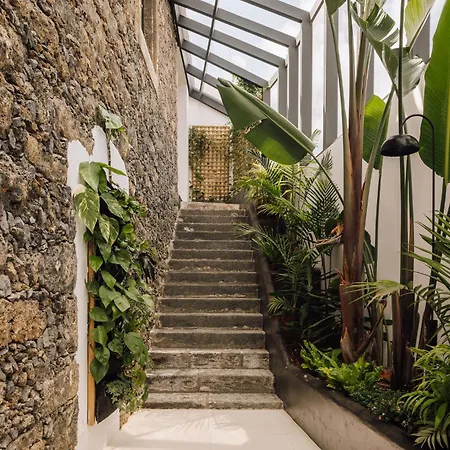 White Exclusive Suites & Villas-3