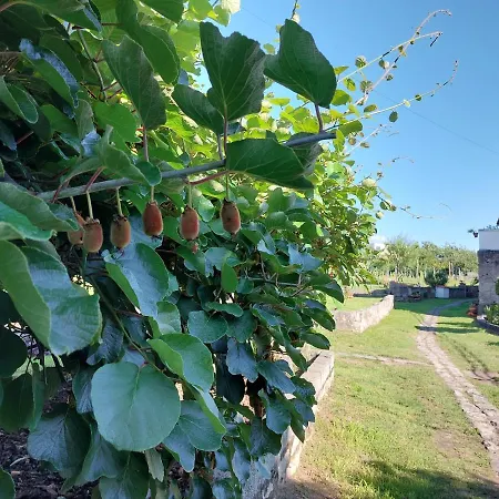 Quinta Da Ponte-2