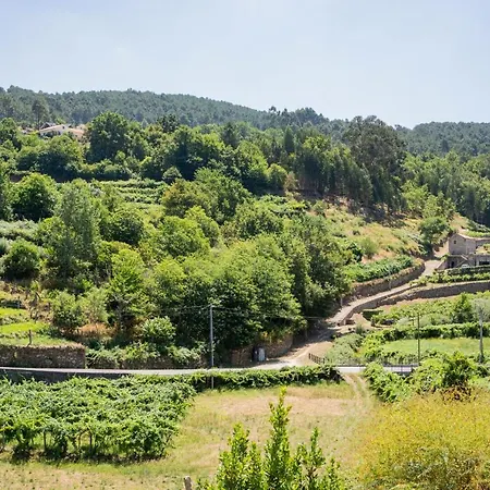 Melgaço Alvarinho Houses-3