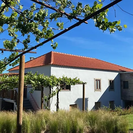 Casa Bizarra-3