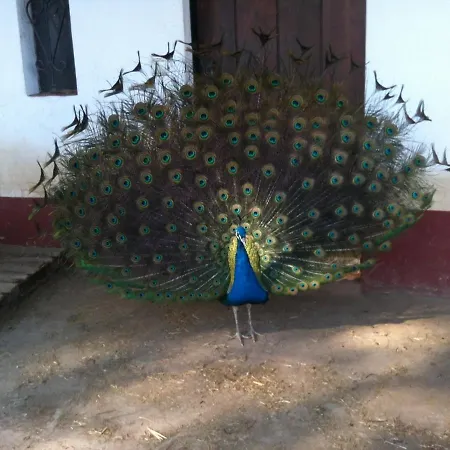 Herdade Do Monte Outeiro - Turismo Rural-3