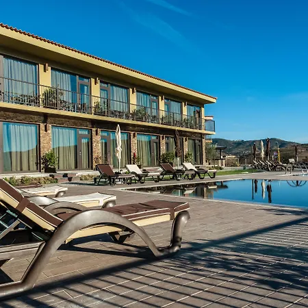 Vila Gale Douro Vineyards-3