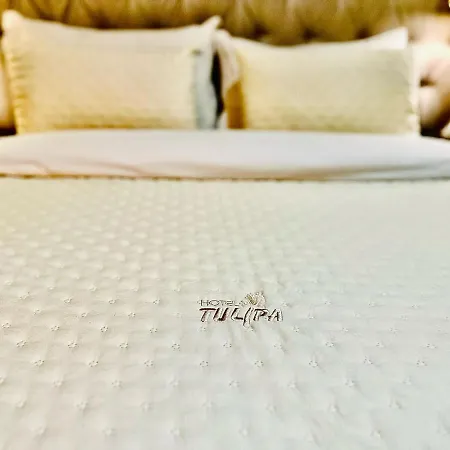 Hotel Tulipa-3