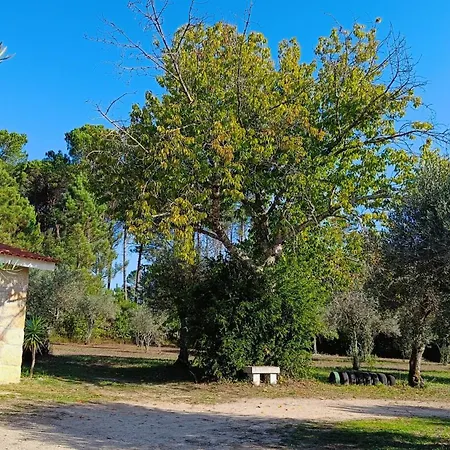 Quinta Da Pedra Mija-3