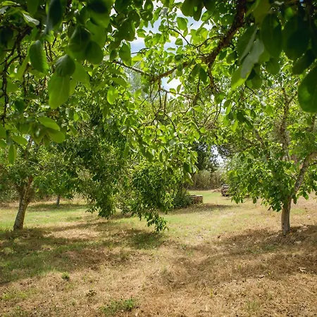 Quinta Do Marmeleiro - Casa Rosmaninho-3