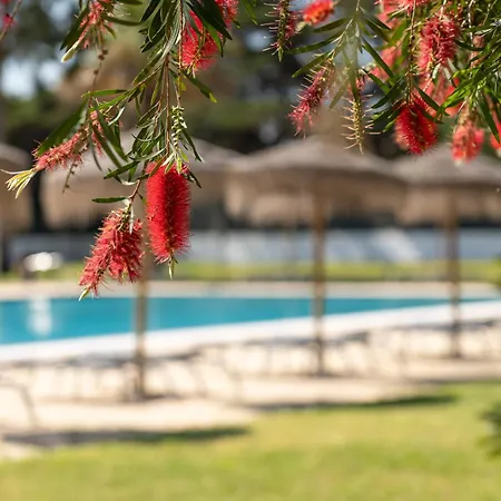 Vila Park Nature & Business Hotel-2