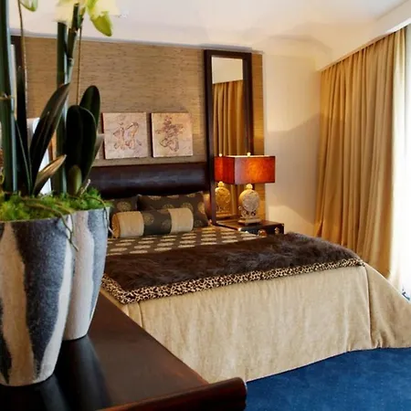 Hotel Moliceiro-2