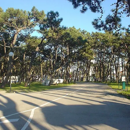 Parque De Campismo Da Praia Da Barra-3
