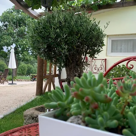 Quinta Vale Salgueiro-3