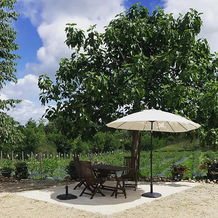 Quinta Vale Salgueiro-2