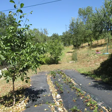 Bungalow A Choupana - Quinta da Carvoíça - Vale Pradinhos-3