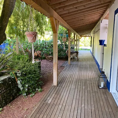 Quinta Dos Bravos-2