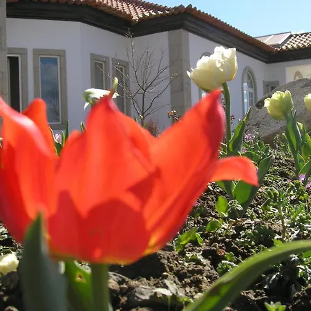 Casa De Alpajares - Guest House & Spa-2