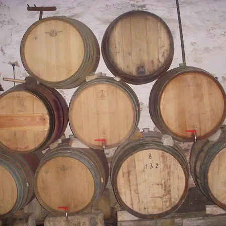 Quinta Da Azenha-3