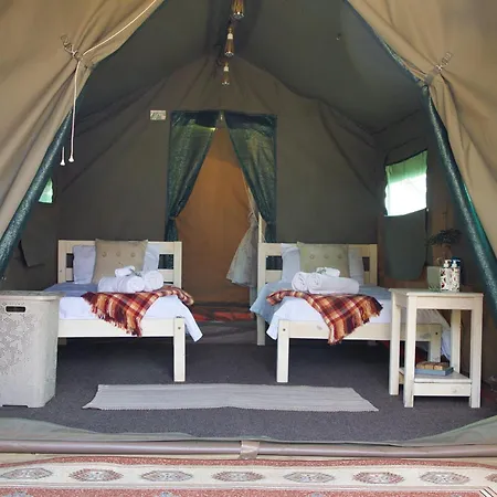 Safari Glamping Portugal Shark-2