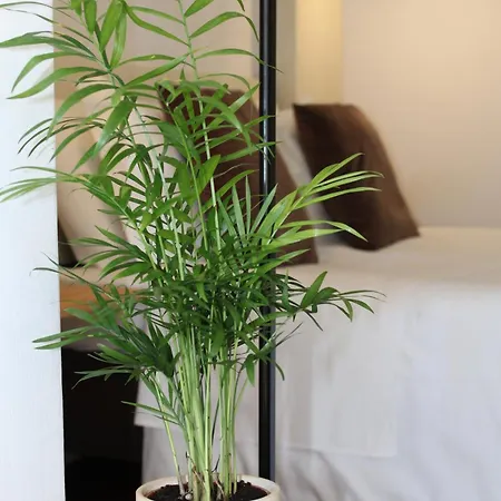 Zen Guest House - Museu Do Bonsai-2
