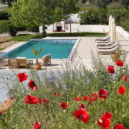 Quinta Da Asneira-2