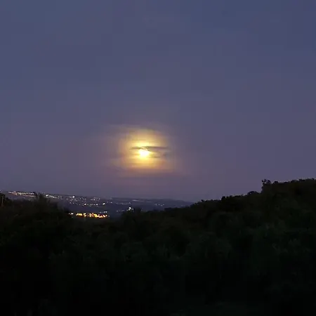 Quinta De Evoramonte-3