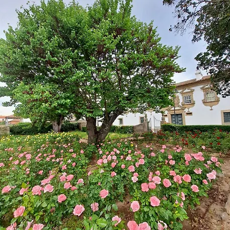 Solar Das Arcas Manor House-3
