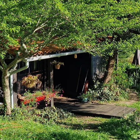 O Cantinho De Coura - A Cabana-3