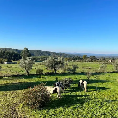 Quinta Da Barroca Do Cabo-3