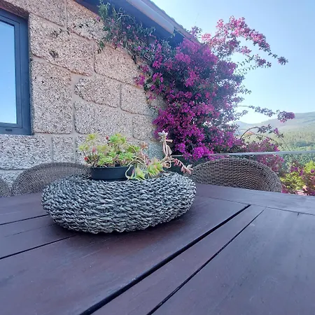 Casa do Penedo - Quinta de Fundevilla-2
