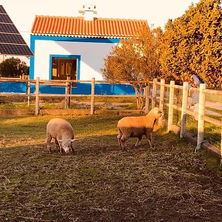 Qr Casas De Campo-3