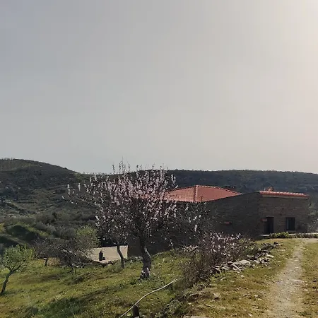 Eira Da Fraga-2
