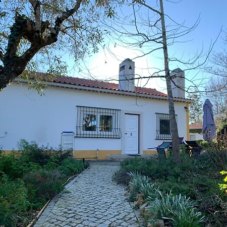 Quinta dos Girassóis FZ-3
