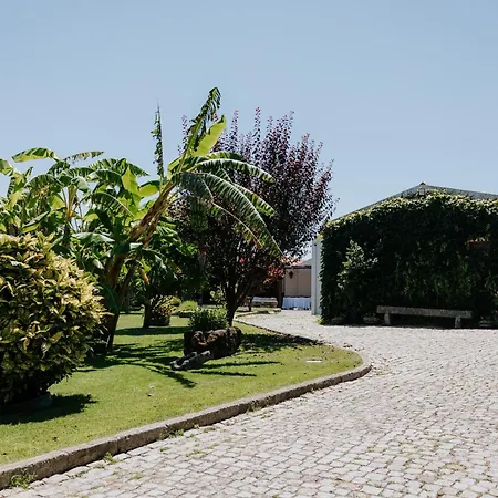 Casa dos meus avós -Villas - Gaia&Porto-3