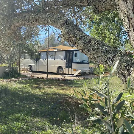 Glamping Algarve Olive Tree Lodge-3