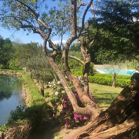 Quinta de Barbêdo - Turismo Rural-2