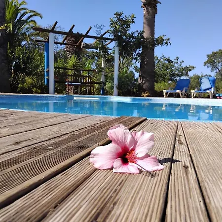 Quinta Do Paraiso-3