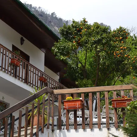Hotel Carvalho Araujo-2