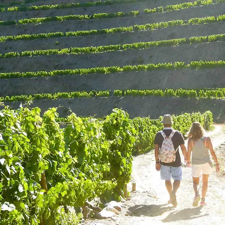 Quinta De La Rosa-2