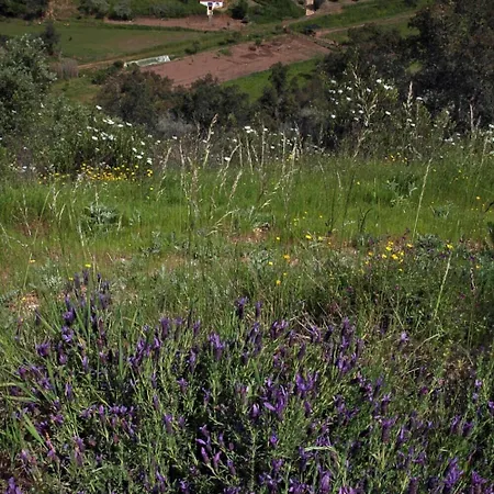 Quinta Do Chocalhinho Agroturismo & Spa-2