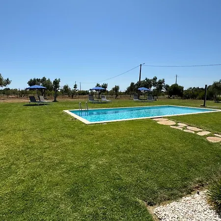 Vila Fuzeta Bed&Breakfast-2