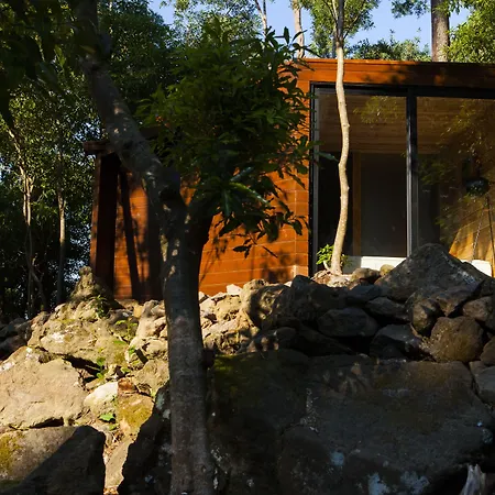 Caparica Azores Ecolodge-2