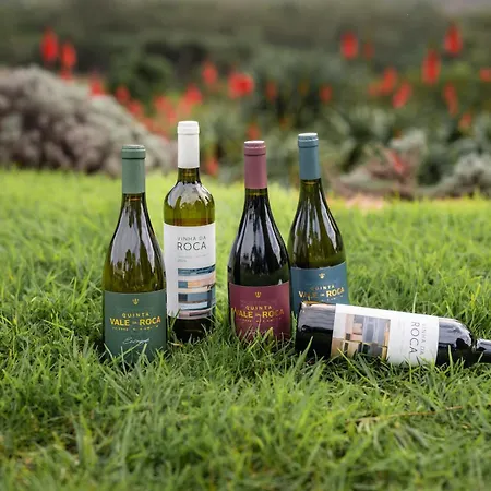 Quinta Vale Da Roca-2