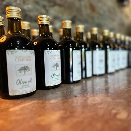 Quinta Da Casa Cimeira - Douro Wine State, A House Of Wine, Food & Memories-3