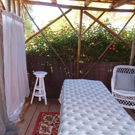 Ponte Pedra Melides -Nature & Ocean- Adults Only-3