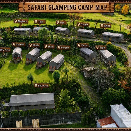 Safari Glamping Portugal Shark-2