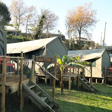 Safari Glamping Portugal Shark-3