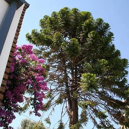 Vilaportuguesa-2