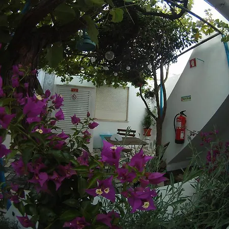 Ahoy Porto Covo Hostel-3
