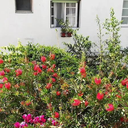 Residencial Carvalho-3
