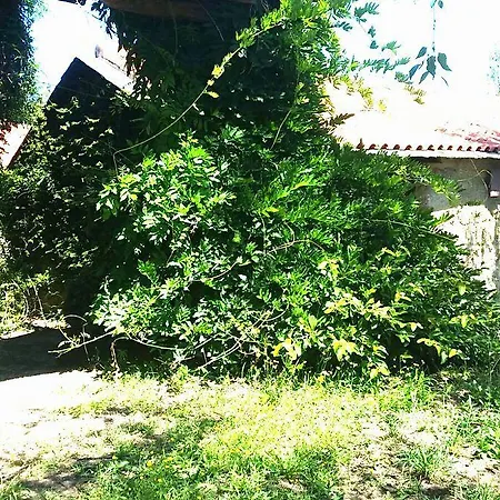 Quinta De Abol De Baixo-3