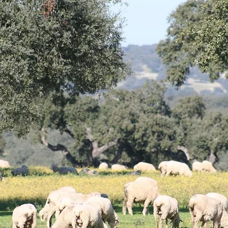 Monte Alto Agroturismo-2