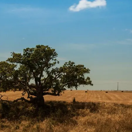 Vales Do Alentejo-2